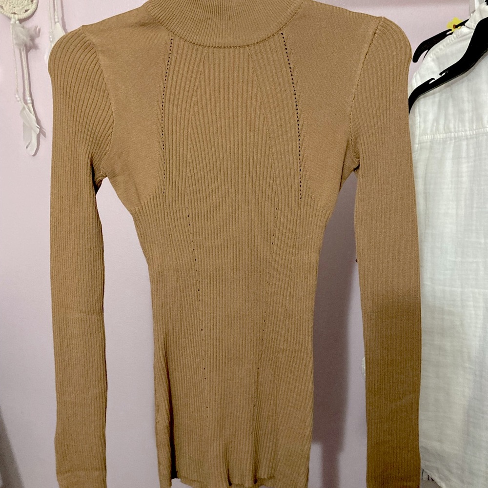 Brown long sleeve fitted turtleneck